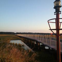 Boardwalk in farmland